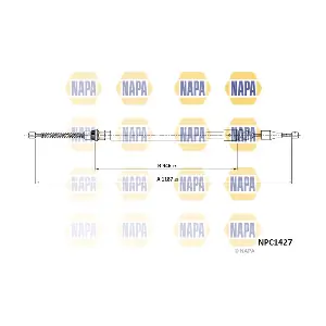 NPC1427 NAPA