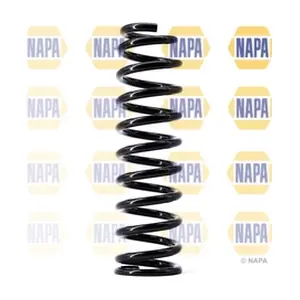 NCS1493 NAPA