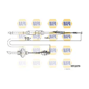 NAPA NTC2079
