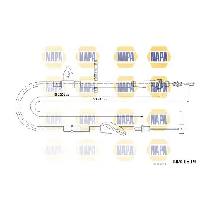 NPC1819 NAPA