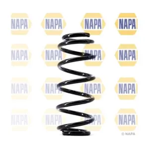 NCS1539 NAPA