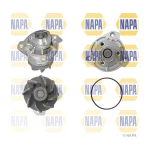 NAPA NWP1035