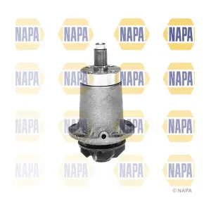 NAPA NWP1306