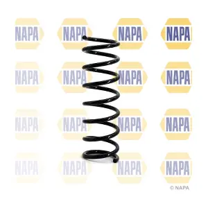 NCS1035 NAPA