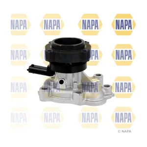 NWP1674 NAPA