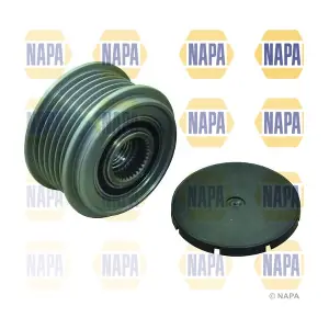 NOP1126 NAPA
