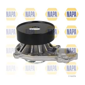 NWP1687 NAPA