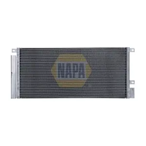 NAC1010 NAPA