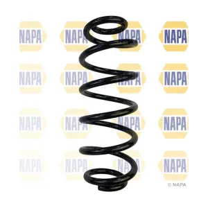 NCS1719 NAPA