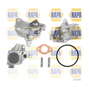 NAPA NWP1445