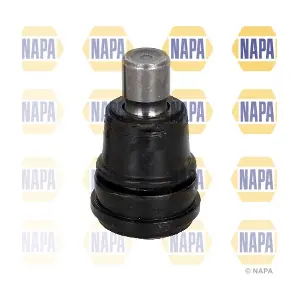 NST0091 NAPA