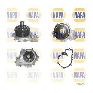 NAPA NWP1351
