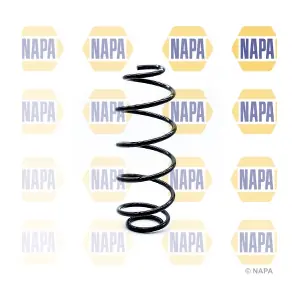 NCS1231 NAPA