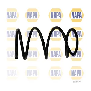NAPA NCS1918