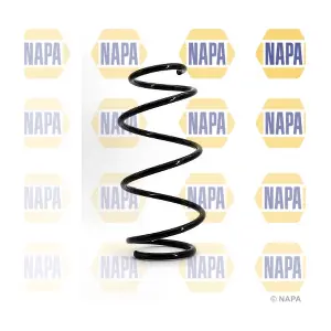 NCS1091 NAPA