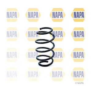 NCS1255 NAPA