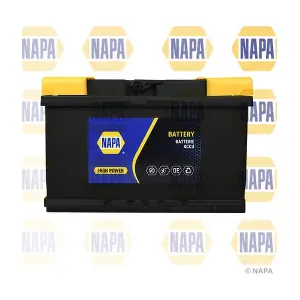 100NP NAPA