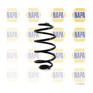NCS1161 NAPA