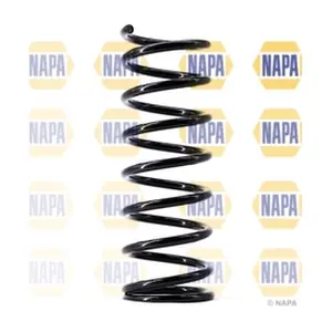 NCS1484 NAPA