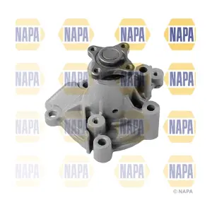 NAPA NWP1236