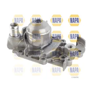 NAPA NWP1661