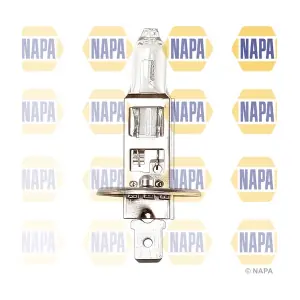 NAPA NBU1448