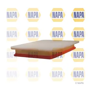 NAPA NFA1079