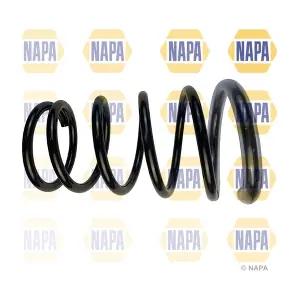 NAPA NCS1819
