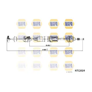 NTC2024 NAPA