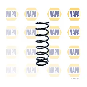 NCS1258 NAPA