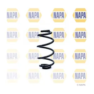 NCS1243 NAPA