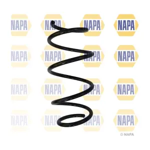 NCS1713 NAPA