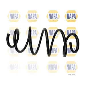 NAPA NCS1879