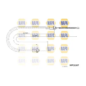 NAPA NPC1167