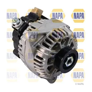 NAL2054 NAPA