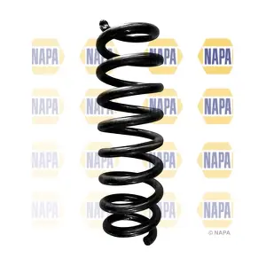 NCS1684 NAPA