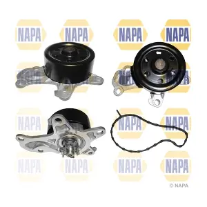 NAPA NWP1161