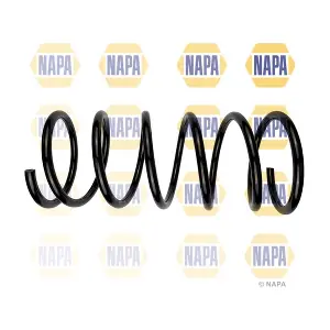 NAPA NCS1895