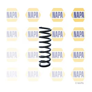 NCS1224 NAPA