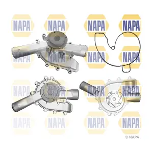 NWP1343 NAPA