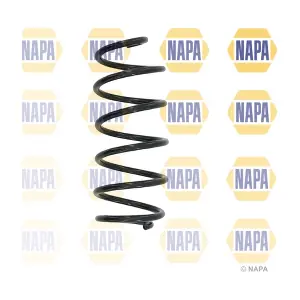 NCS1618 NAPA