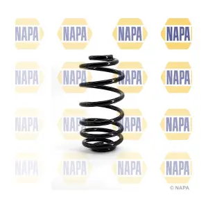 NCS1038 NAPA