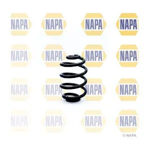 NAPA NCS1315