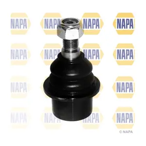 NST0095 NAPA