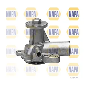 NAPA NWP1175