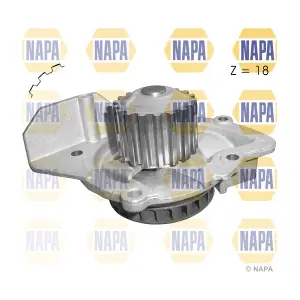 NAPA NWP1155