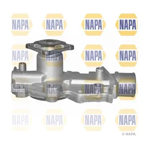 NAPA NWP1182