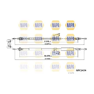 NPC1424 NAPA