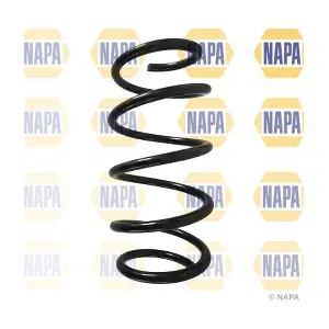 NCS1578 NAPA