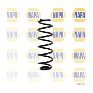 NCS1121 NAPA